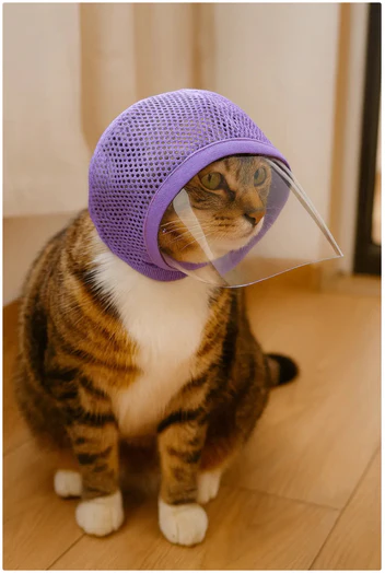 Cat Anti-Bite Transparent Mask – Safe, Comfortable & Stress-Free