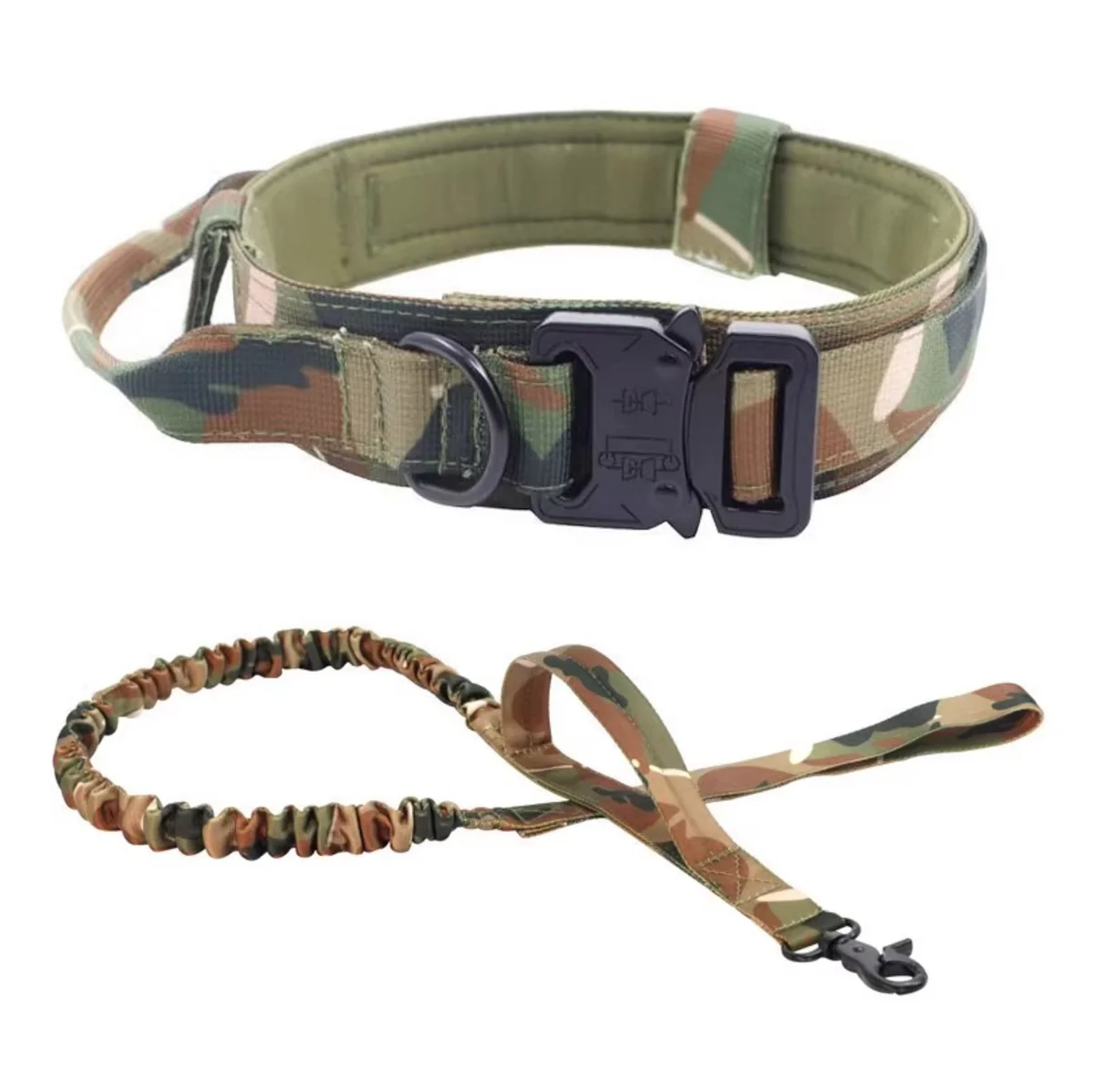 2-in-1 Dog Collar with Retractable Leash – Walk Smarter, Not Harder