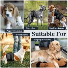 Reusable Pet Diaper for Dogs – Comfortable, Adjustable & Eco-Friendly