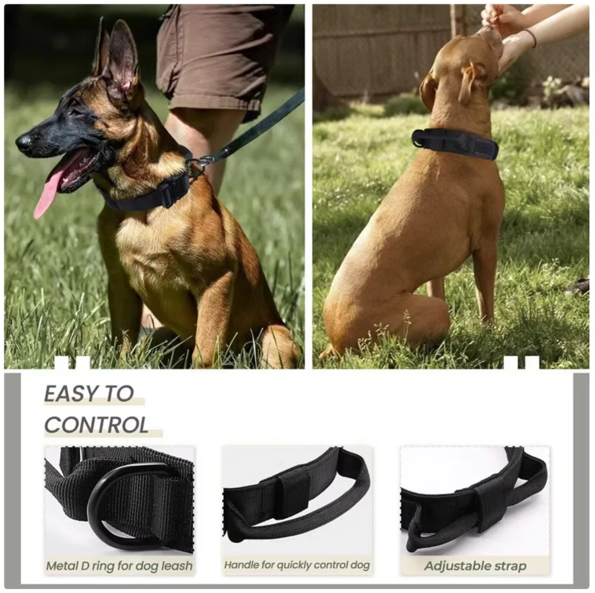 2-in-1 Dog Collar with Retractable Leash – Walk Smarter, Not Harder