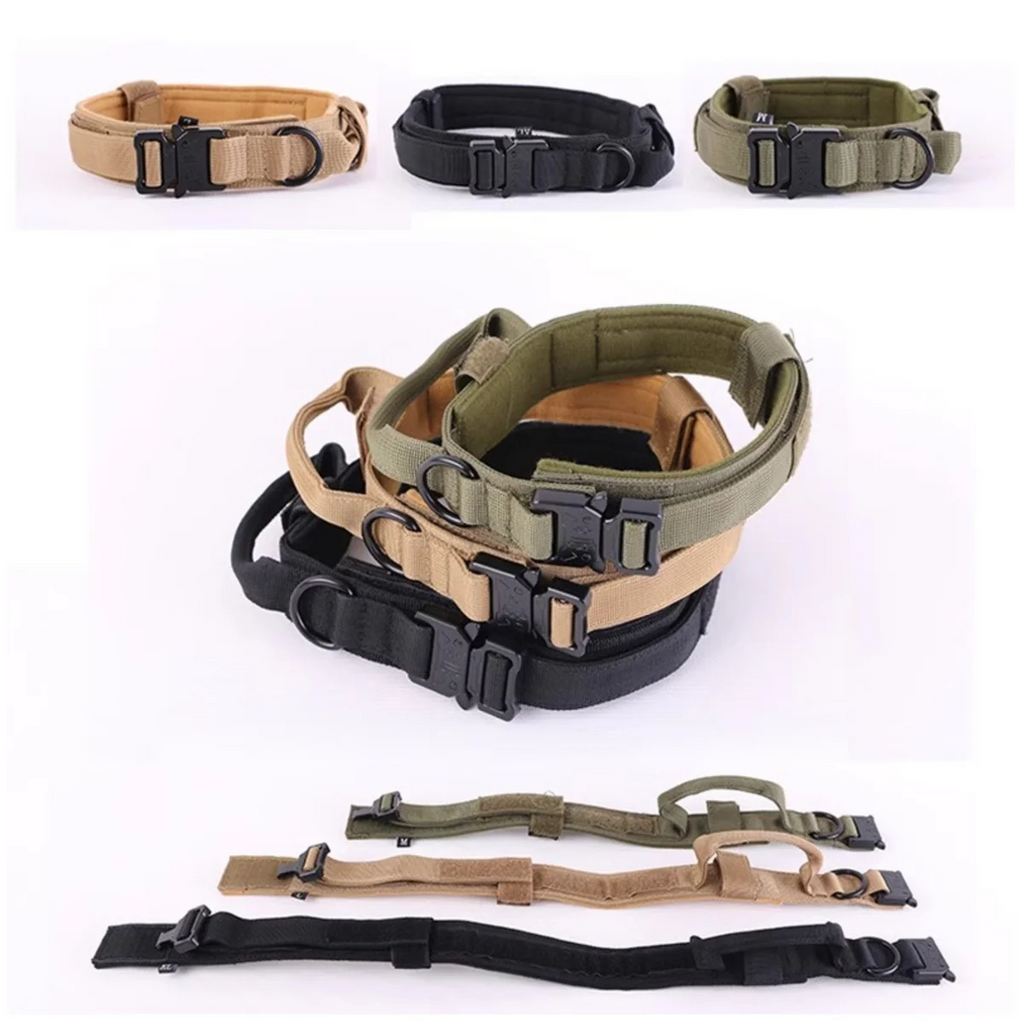 2-in-1 Dog Collar with Retractable Leash – Walk Smarter, Not Harder