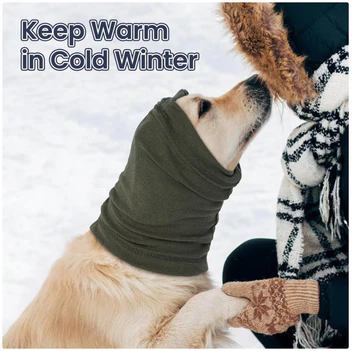 Dog Calming Hood – Comfort, Warmth & Peace of Mind