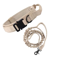 2-in-1 Dog Collar with Retractable Leash – Walk Smarter, Not Harder