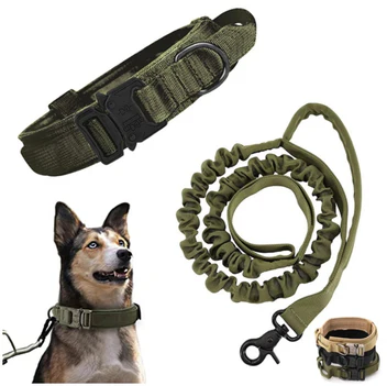 2-in-1 Dog Collar with Retractable Leash – Walk Smarter, Not Harder